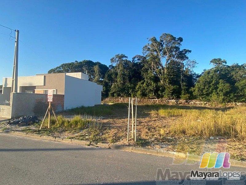 Terreno à venda, 250 m²  - Praia de Ubatuba - São Francisco do Sul/SC — foto 5