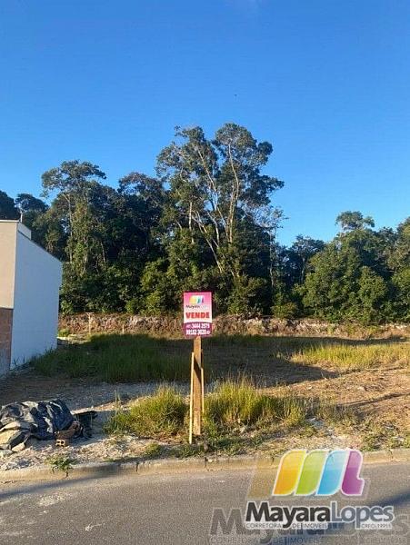 Terreno à venda, 250 m²  - Praia de Ubatuba - São Francisco do Sul/SC — foto 3