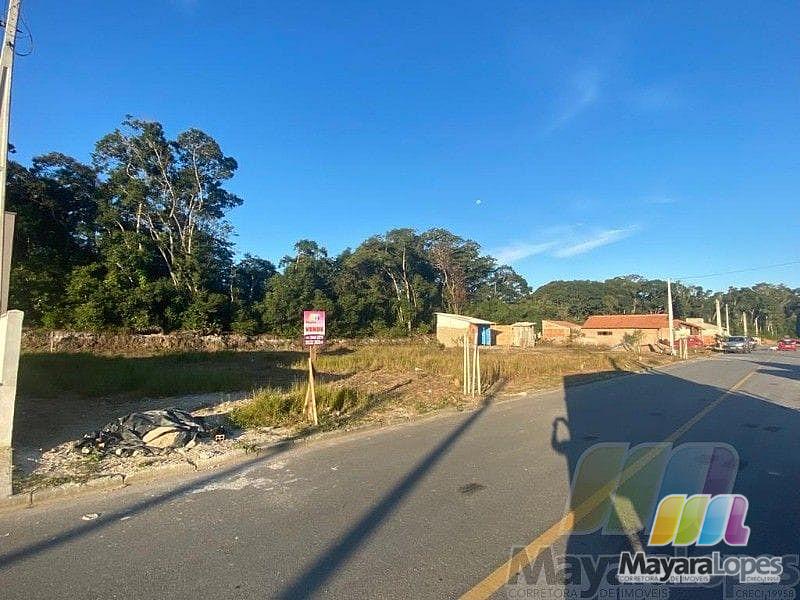 Terreno à venda, 250 m²  - Praia de Ubatuba - São Francisco do Sul/SC — foto 2