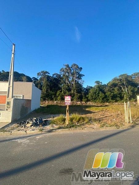 Terreno à venda, 250 m²  - Praia de Ubatuba - São Francisco do Sul/SC — foto 4