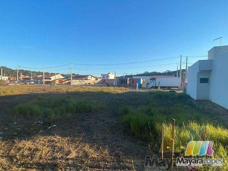 Terreno à venda, 250 m²  - Praia de Ubatuba - São Francisco do Sul/SC — foto 8