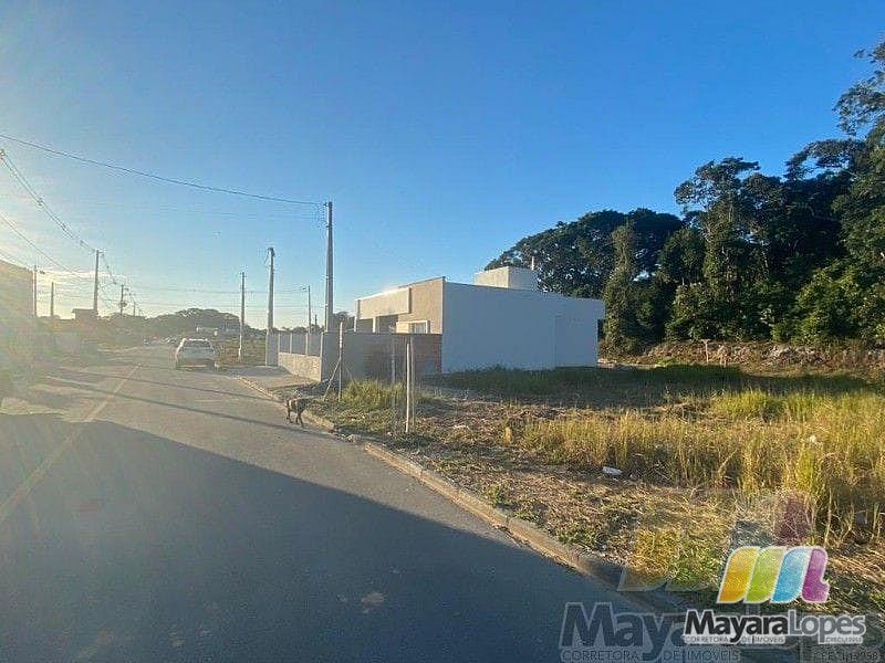 Terreno à venda, 250 m²  - Praia de Ubatuba - São Francisco do Sul/SC — foto 7