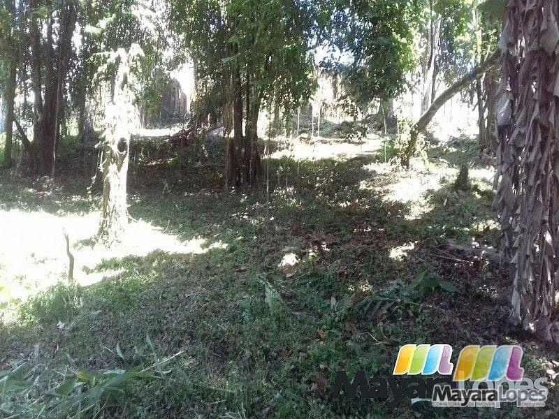 Terreno à venda, 990 m² por R$ 195.000 - Rocio Pequeno - São Francisco do Sul/SC — foto 5