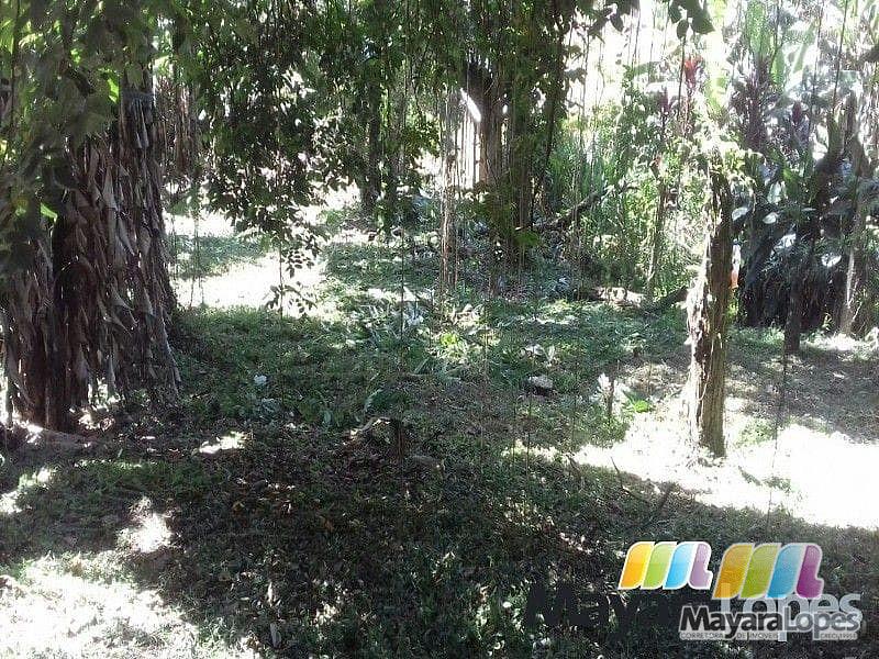 Terreno à venda, 990 m² por R$ 195.000 - Rocio Pequeno - São Francisco do Sul/SC — foto 4