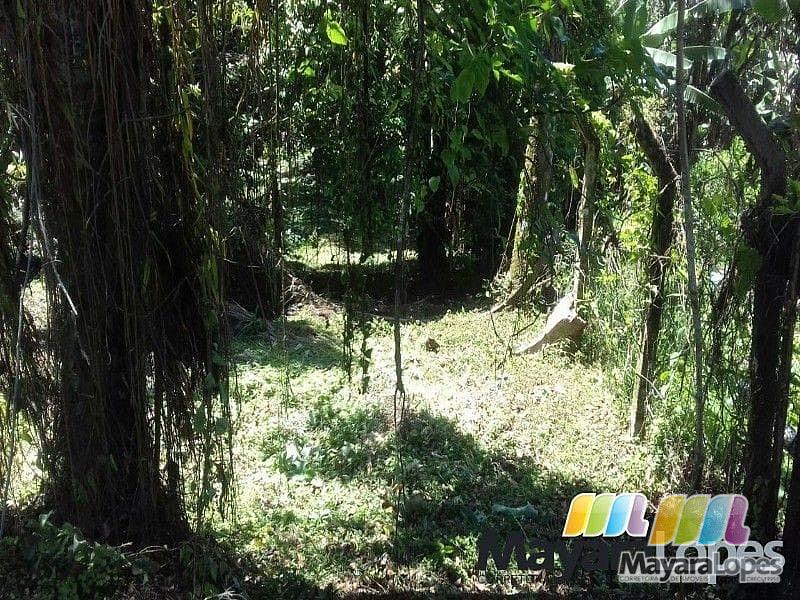 Terreno à venda, 990 m² por R$ 195.000 - Rocio Pequeno - São Francisco do Sul/SC — foto 8