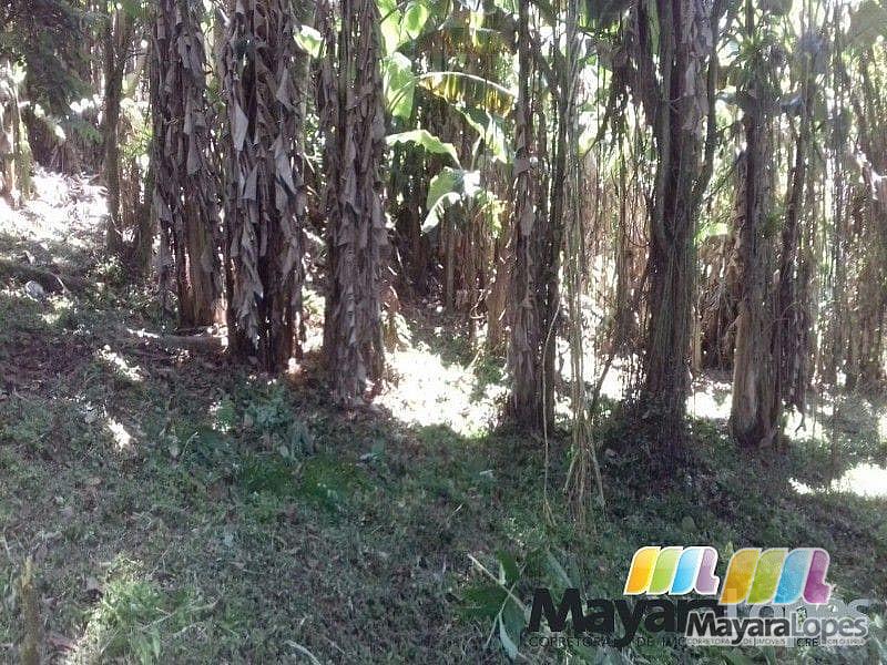 Terreno à venda, 990 m² por R$ 195.000 - Rocio Pequeno - São Francisco do Sul/SC — foto 3