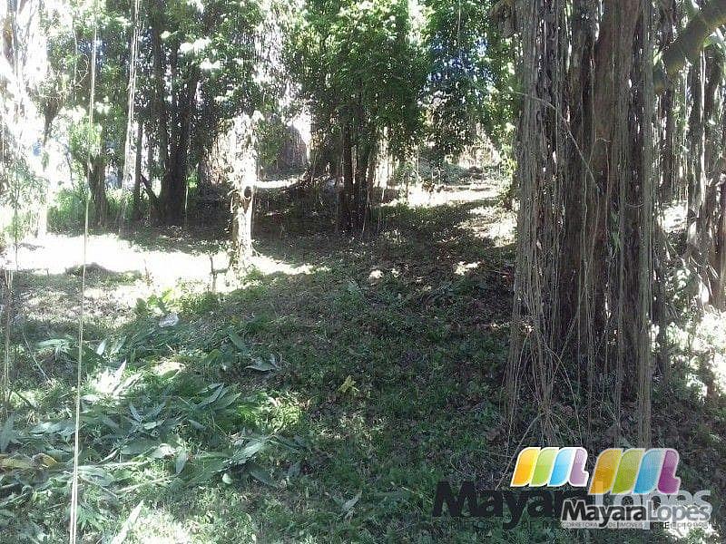 Terreno à venda, 990 m² por R$ 195.000 - Rocio Pequeno - São Francisco do Sul/SC — foto 6