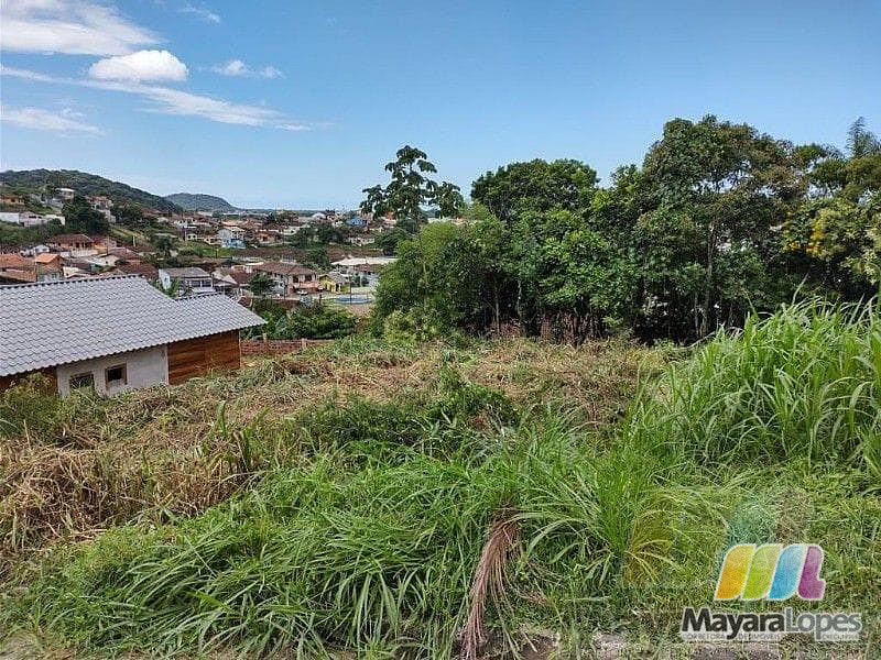 Terreno à venda, 368 m²  - Acaraí - São Francisco do Sul/SC — foto 2
