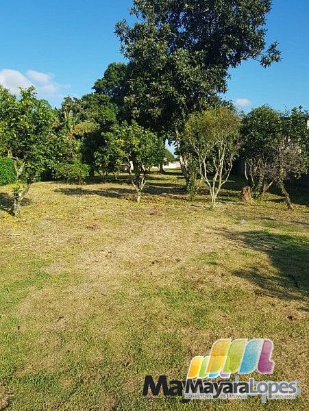 Casa à venda, 700 m² por R$ 3.800.000,00 - Iperoba - São Francisco do Sul/SC — foto 27