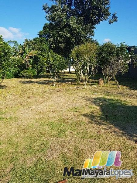 Casa à venda, 700 m² por R$ 3.800.000,00 - Iperoba - São Francisco do Sul/SC — foto 28