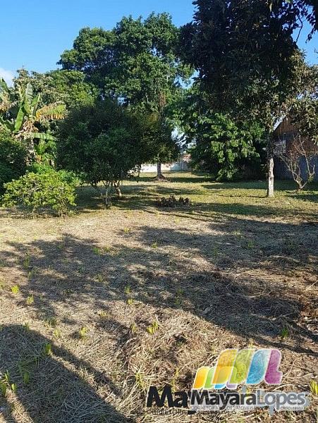 Casa à venda, 700 m² por R$ 3.800.000,00 - Iperoba - São Francisco do Sul/SC — foto 26