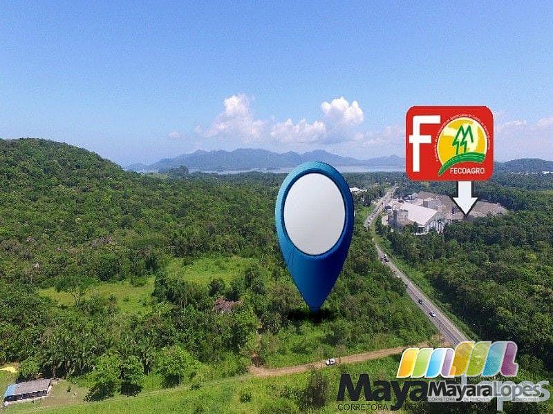 Área à venda, 46575 m² por R$ 1.500.000,00 - Rocio Grande - São Francisco do Sul/SC — foto 4