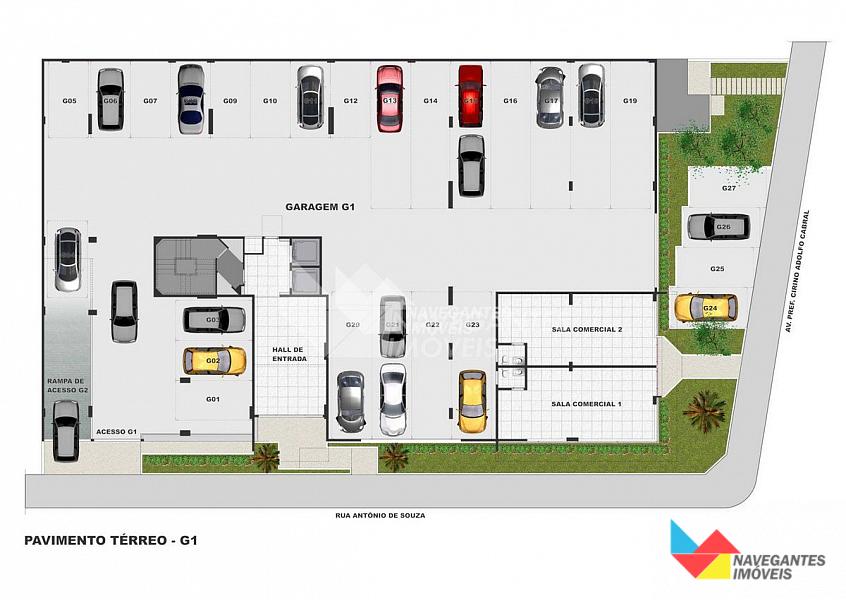 Chardonnay — foto 9