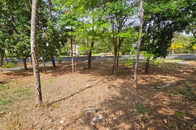 Terreno à venda no Aldeia do Vale na Avenida Floresta, com vista ampla e localização privilegiada