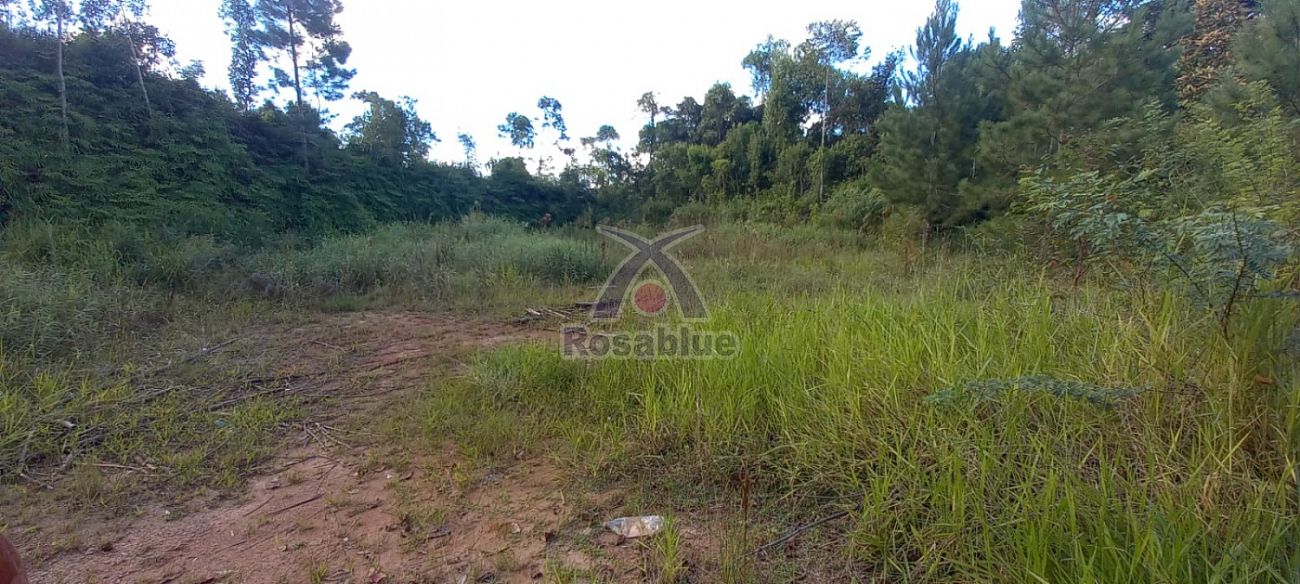 TERRENO - RODEIO - foto 1