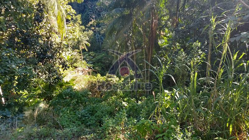 TERRENO IBIRAMA — foto 5