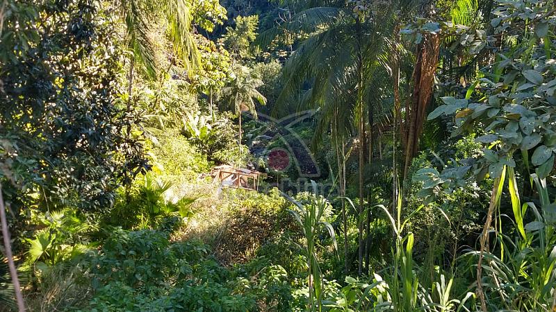 TERRENO IBIRAMA — foto 6