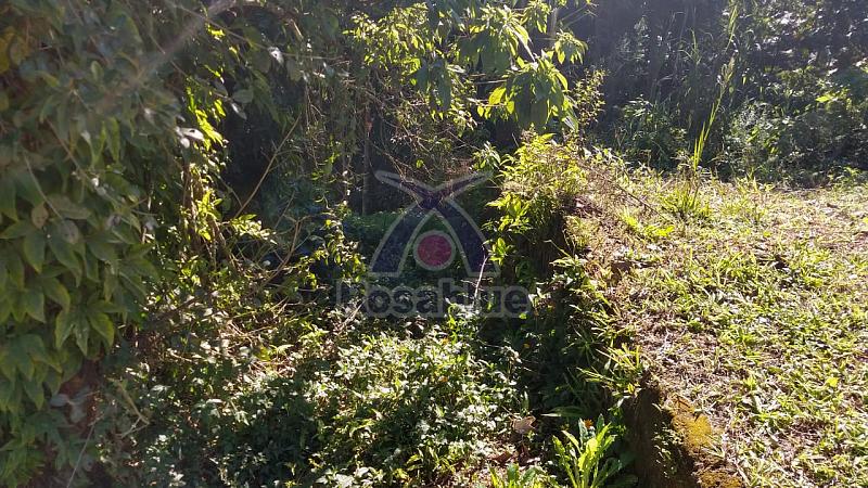 TERRENO IBIRAMA — foto 3