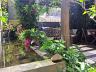 Casa em condom�nio no Ecoville com 3 su�tes, amplo p�tio e 4 vagas 24