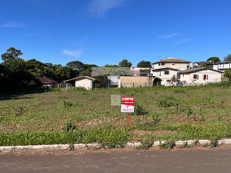 LOTE AMPLO COM ÓTIMA LOCALIZAÇÃO — foto 3