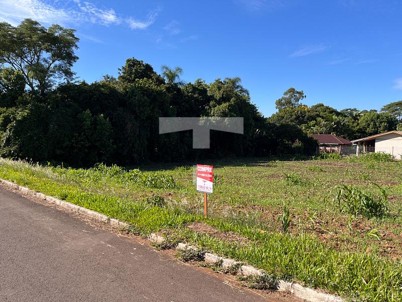 LOTE AMPLO COM ÓTIMA LOCALIZAÇÃO — foto 2