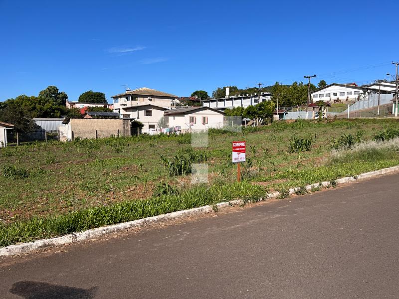 LOTE AMPLO COM ÓTIMA LOCALIZAÇÃO — foto 4