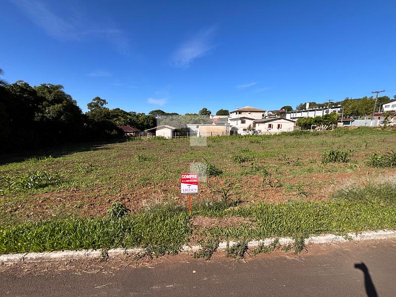 LOTE AMPLO COM ÓTIMA LOCALIZAÇÃO — foto 5