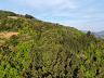 �REA URBANA e RURAL 7