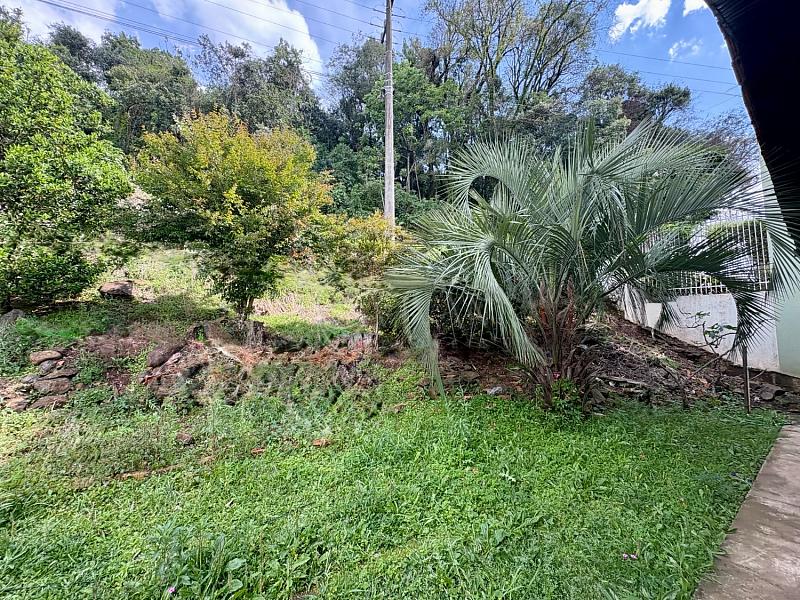 Casa / Terreno Dois Pinheiros 5
